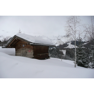 照片 法国(France) 梅杰夫(Megeve) 勒普拉奈(Le Planay) 2010-02 11