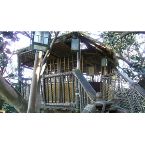 照片 法国(France) 巴黎迪士尼乐园(Disneyland Paris) 鲁滨逊树屋(La Cabane des Robinson) 2007-07 20