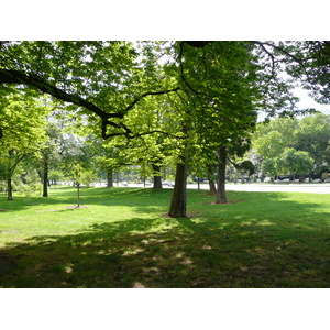 照片 法国(France) 巴黎(Paris) 福煦大街(Avenue Foch) 2007-06 34