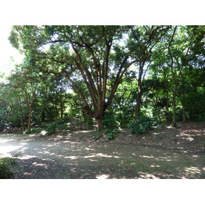 照片 日本(Japan) 东京(Tokyo) 滨离宫恩赐庭园(Hama rikyu Gardens) 2010-06 102