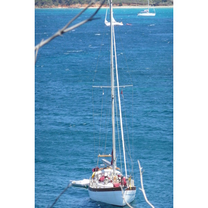 照片 法国(France) 波克罗勒岛(Porquerolles Island) 勒坎角(Pointe du Lequin) 2008-05 17