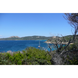 照片 法国(France) 波克罗勒岛(Porquerolles Island) 勒坎角(Pointe du Lequin) 2008-05 14