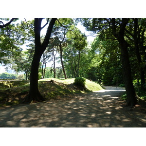 照片 日本(Japan) 东京(Tokyo) 滨离宫恩赐庭园(Hama rikyu Gardens) 2010-06 49