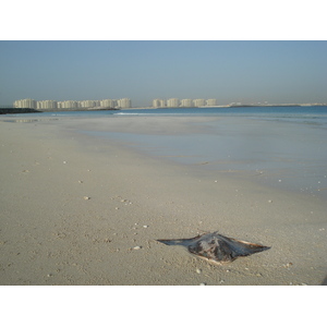 照片 阿联酋(United Arab Emirates) 迪拜(Dubai) 朱美拉海滩(Jumeirah Beach) 2007-03 21