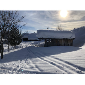 照片 法国(France) 阿尔利河畔普拉(Praz sur Arly) 2019-12 453