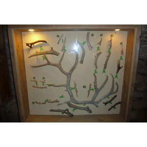 照片 法国(France) 雷尼亚克堡垒屋(Maison Forte de Reignac) 2010-08 9