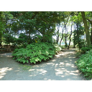 照片 日本(Japan) 东京(Tokyo) 滨离宫恩赐庭园(Hama rikyu Gardens) 2010-06 43
