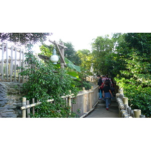 照片 法国(France) 巴黎迪士尼乐园(Disneyland Paris) 鲁滨逊树屋(La Cabane des Robinson) 2007-07 24