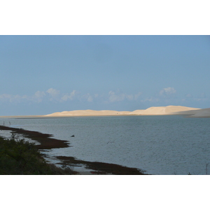 照片 南非(South Africa) 星期日河(Sundays River) 2008-09 70