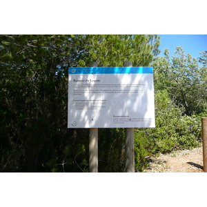 照片 法国(France) 波克罗勒岛(Porquerolles Island) 勒坎角(Pointe du Lequin) 2008-05 4