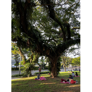 照片 新加坡(Singapore) 2023-01 57