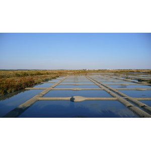 照片 法国(France) 盖朗德(Guerande) 盐田(Les marais salants) 2007-08 2