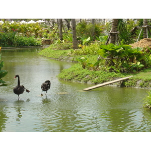 照片 泰国(Thailand) 考拉(Khao Lak) 考拉艾美酒店(Meridien Khao Lak Hotel) 2005-12 6