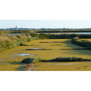 照片 法国(France) 盖朗德(Guerande) 盐田(Les marais salants) 2007-08 33