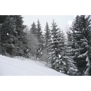 照片 法国(France) 梅杰夫(Megeve) 阿尔布瓦山(Mont d'Arbois) 2010-02 18