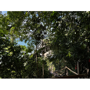 照片 泰国(Thailand) 甲米(Krabi) 奥南(Ao Nang) 2023-01 32