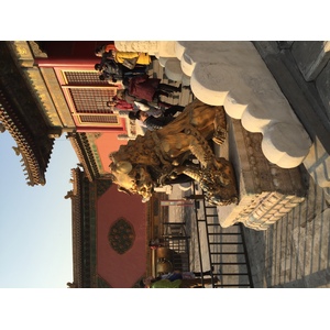 照片 中国(China) 北京(Beijing) 紫禁城(Forbidden City) 2015-12 10