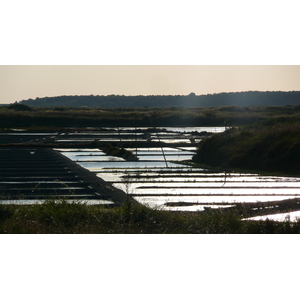 照片 法国(France) 盖朗德(Guerande) 盐田(Les marais salants) 2007-08 1