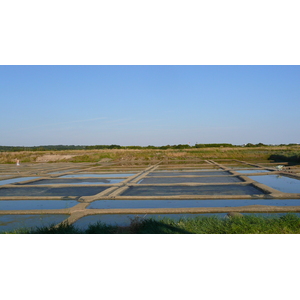 照片 法国(France) 盖朗德(Guerande) 盐田(Les marais salants) 2007-08 10