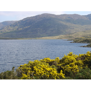 照片 爱尔兰(Ireland) 凯里郡(Kerry) 卡拉湖(Caragh Lake) 2004-05 7