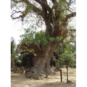 照片 缅甸(Myanmar) 土瓦(Dawei (TAVOY)) 2005-01 157