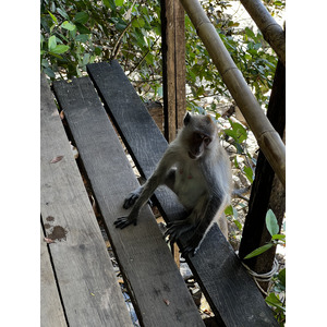 照片 泰国(Thailand) 甲米(Krabi) 奥南(Ao Nang) 2023-01 97
