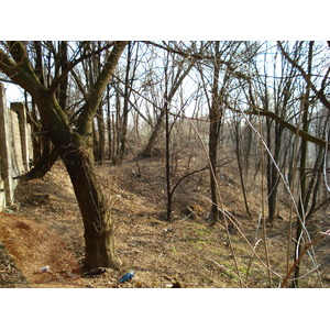 照片 乌克兰(Ukraine) 基辅(Kiev) 基辅要塞(Kiev Fortress) 2007-03 0