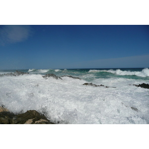 照片 南非(South Africa) 齐齐卡马国家公园(Tsitsikamma National Park) 2008-09 209