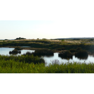 照片 法国(France) 盖朗德(Guerande) 盐田(Les marais salants) 2007-08 24