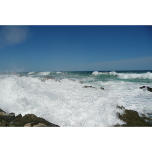 照片 南非(South Africa) 齐齐卡马国家公园(Tsitsikamma National Park) 2008-09 226