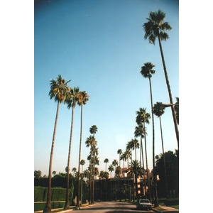 照片 美国(United States) 比佛利山(Beverly Hills) 1992-08 13