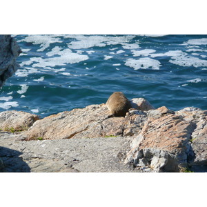 照片 南非(South Africa) 赫曼努斯(Harmanus) 2008-09 251