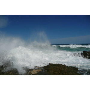 照片 南非(South Africa) 齐齐卡马国家公园(Tsitsikamma National Park) 2008-09 166