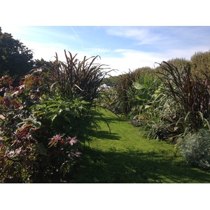 照片 法国(France) 巴黎(Paris) 巴黎植物园(Jardin des Plantes) 2014-09 23