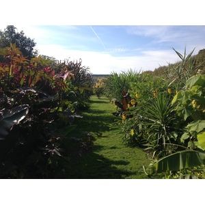 照片 法国(France) 巴黎(Paris) 巴黎植物园(Jardin des Plantes) 2014-09 18