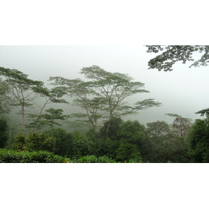 照片 塞舌尔(Seychelles) 2011-10 75