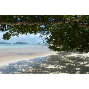 照片 塞舌尔(Seychelles) 拉迪格岛(La Digue) 2011-10 211