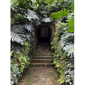 照片 新加坡(Singapore) 福康宁公园(Fort Canning Park) 2023-01 2