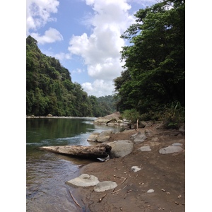 照片 哥斯达黎加(Costa Rica) 帕夸雷河(Pacuare River) 2015-03 253