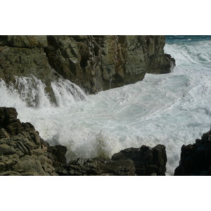 照片 南非(South Africa) 齐齐卡马国家公园(Tsitsikamma National Park) 2008-09 185