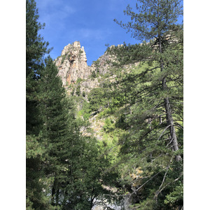 照片 法国(France) 科西嘉岛(Corsica) 雷斯托尼卡山谷(La Restonica) 2020-07 87