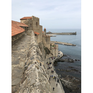 照片 法国(France) 科利乌尔(Collioure) 2018-04 102
