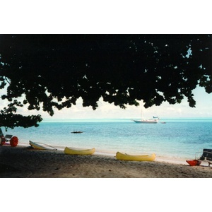 照片 波利尼西亚(Polynesia) 1993-04 68