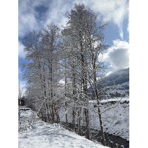 照片 法国(France) 阿尔利河畔普拉(Praz sur Arly) 2025-02 86