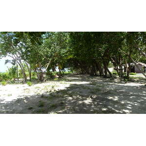 照片 塞舌尔(Seychelles) 拉迪格岛(La Digue) 2011-10 193