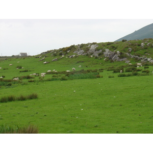 照片 爱尔兰(Ireland) 凯里郡(Kerry) 凯尔斯(Kells) 2004-05 5