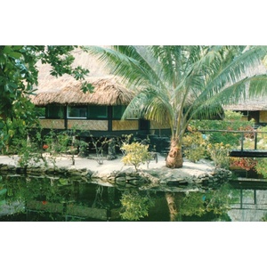 照片 波利尼西亚(Polynesia) 1993-04 65