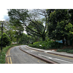 照片 新加坡(Singapore) 福康宁公园(Fort Canning Park) 2023-01 14
