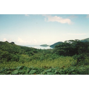 照片 波利尼西亚(Polynesia) 1993-04 58