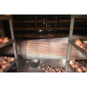 照片 塞舌尔(Seychelles) 拉迪格岛(La Digue) 2011-10 21
